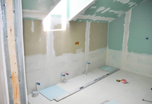 Best Repainting for Renovations  in Roanoke, IL